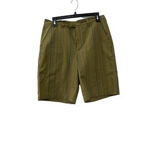 Patagonia Size Men's 30 Organic Cotton Shorts GREEN Stripe